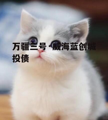 万疆三号·威海蓝创城投债