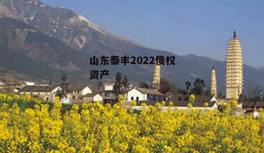山东泰丰2022债权资产