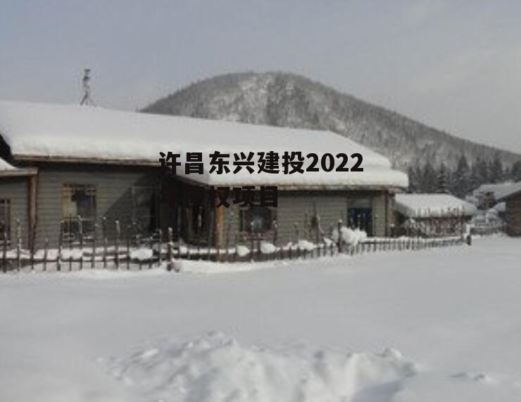 许昌东兴建投2022年债权项目