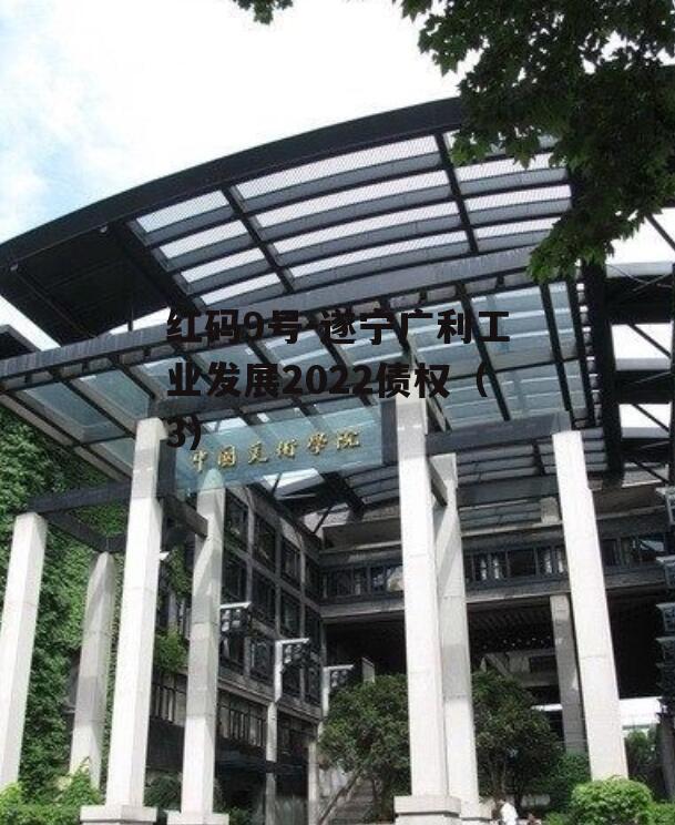 红码9号-遂宁广利工业发展2022债权（3）