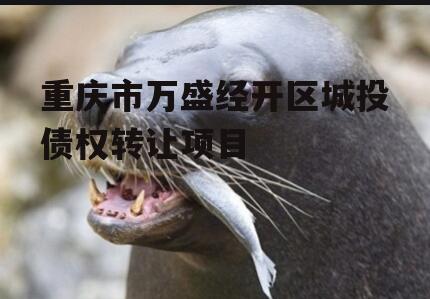 重庆市万盛经开区城投债权转让项目