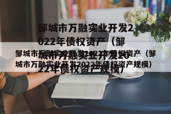 邹城市万融实业开发2022年债权资产（邹城市万融实业开发2022年债权资产规模）