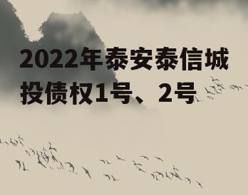 2022年泰安泰信城投债权1号、2号