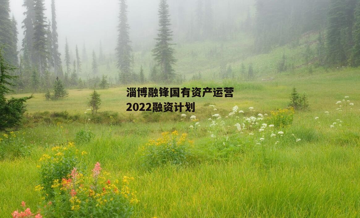 淄博融锋国有资产运营2022融资计划