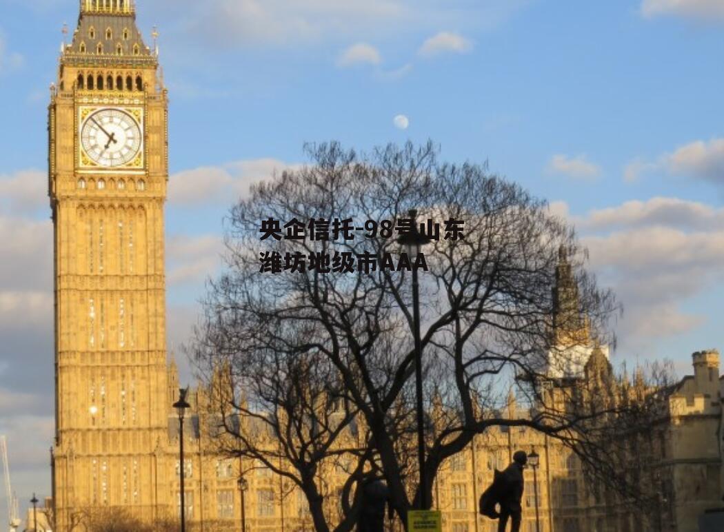 央企信托-98号山东潍坊地级市AAA