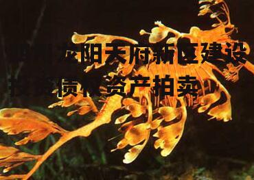 四川龙阳天府新区建设投资债权资产拍卖