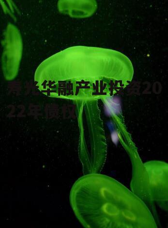 寿光华融产业投资2022年债权