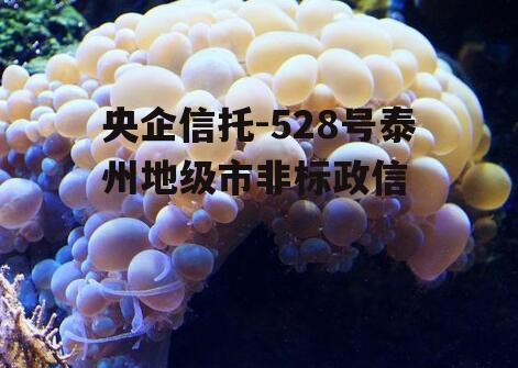 央企信托-528号泰州地级市非标政信