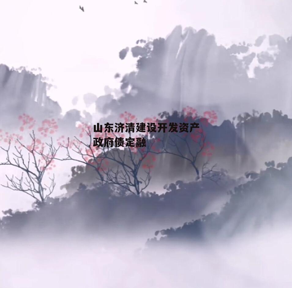 山东济清建设开发资产政府债定融