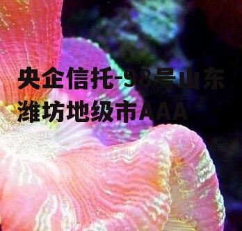央企信托-98号山东潍坊地级市AAA