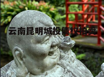 云南昆明城投债权拍卖