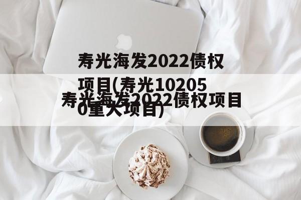 寿光海发2022债权项目(寿光102050重大项目)