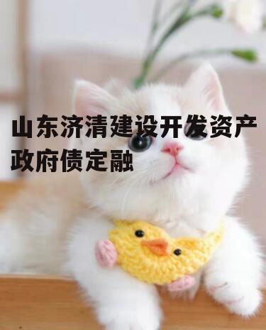 山东济清建设开发资产政府债定融