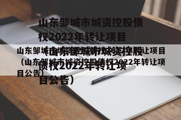 山东邹城市城资控股债权2022年转让项目（山东邹城市城资控股债权2022年转让项目公告）