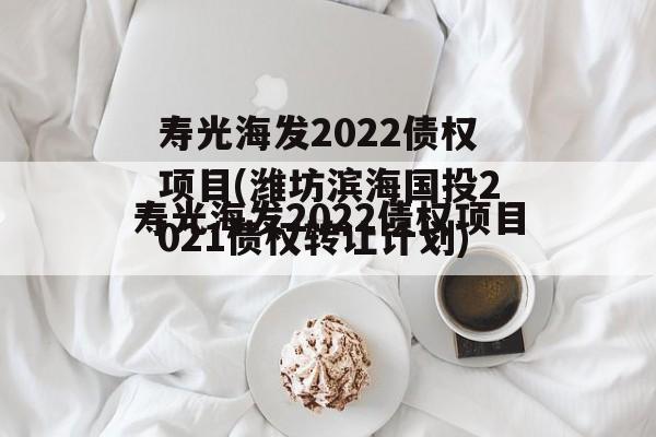 寿光海发2022债权项目(潍坊滨海国投2021债权转让计划)