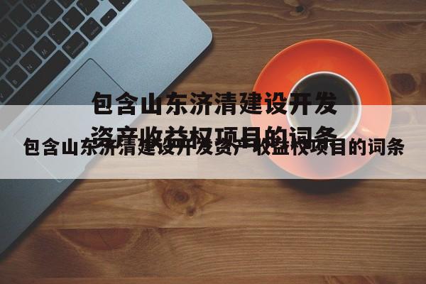 包含山东济清建设开发资产收益权项目的词条