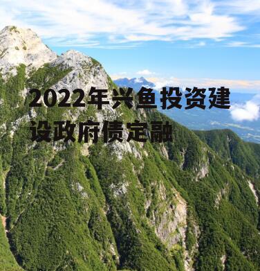 2022年兴鱼投资建设政府债定融