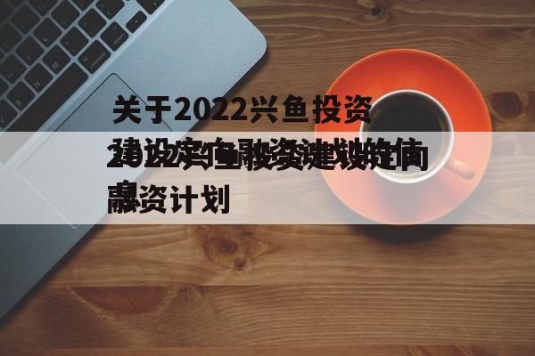 关于2022兴鱼投资建设定向融资计划的信息