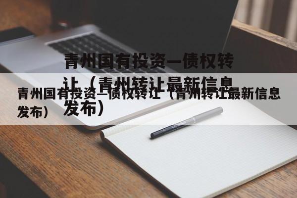 青州国有投资—债权转让（青州转让最新信息发布）