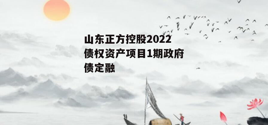 山东正方控股2022债权资产项目1期政府债定融