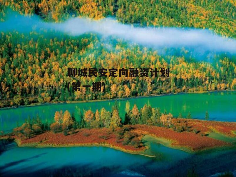 聊城民安定向融资计划(第一期)