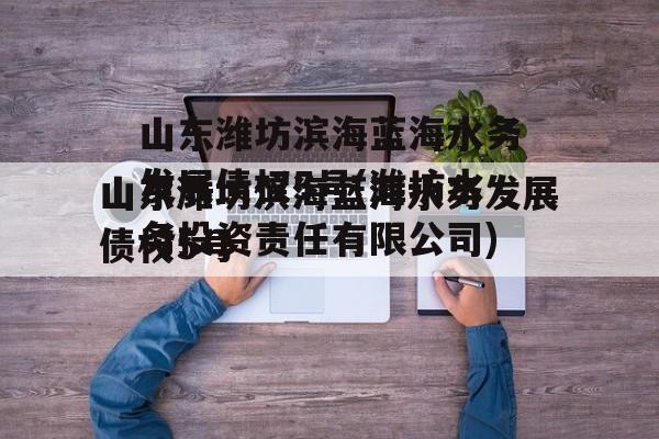 山东潍坊滨海蓝海水务发展债权5号(潍坊水务投资责任有限公司)