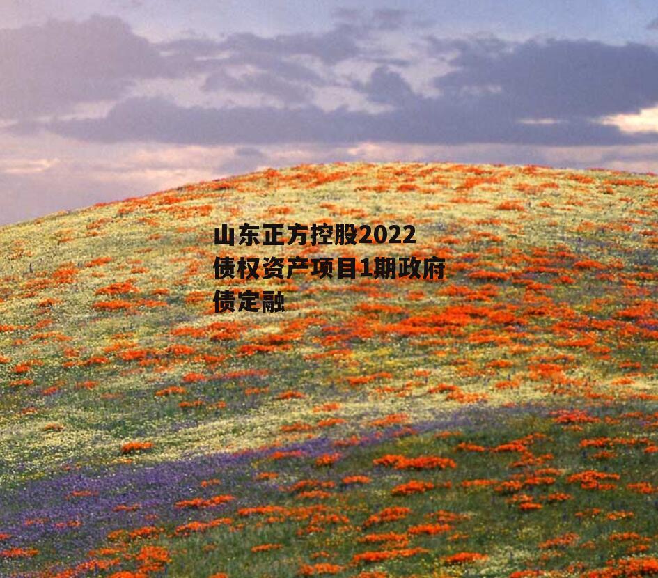 山东正方控股2022债权资产项目1期政府债定融