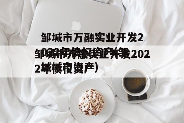 邹城市万融实业开发2022年债权资产(邹城城市资产)