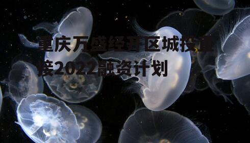 重庆万盛经开区城投直接2022融资计划