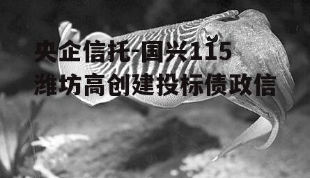 央企信托-国兴115潍坊高创建投标债政信