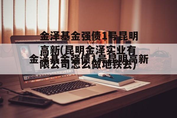 金泽基金强债1号昆明高新(昆明金泽实业有限公司怎么做地铁去)