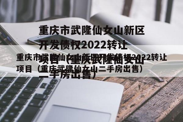 重庆市武隆仙女山新区开发债权2022转让项目（重庆武隆仙女山二手房出售）