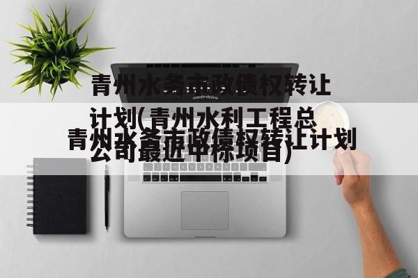 青州水务市政债权转让计划(青州水利工程总公司最近中标项目)