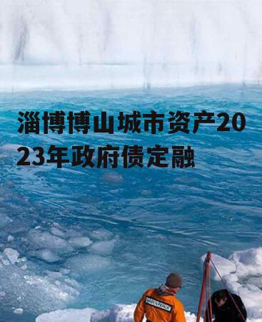 淄博博山城市资产2023年政府债定融