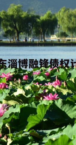 山东淄博融锋债权计划