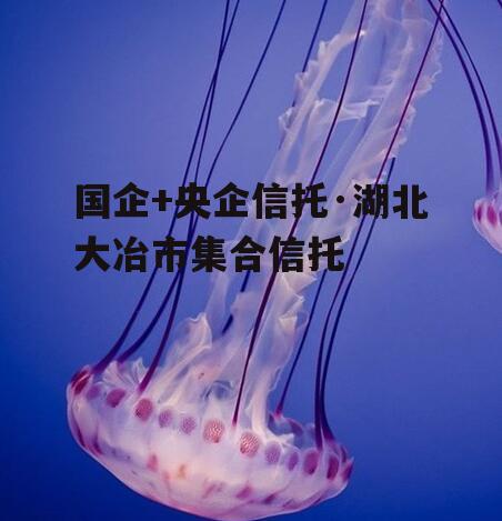 国企+央企信托·湖北大冶市集合信托