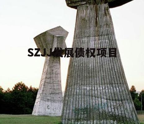 SZJJ发展债权项目