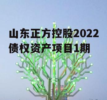 山东正方控股2022债权资产项目1期
