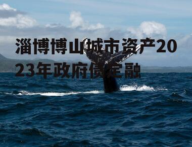 淄博博山城市资产2023年政府债定融