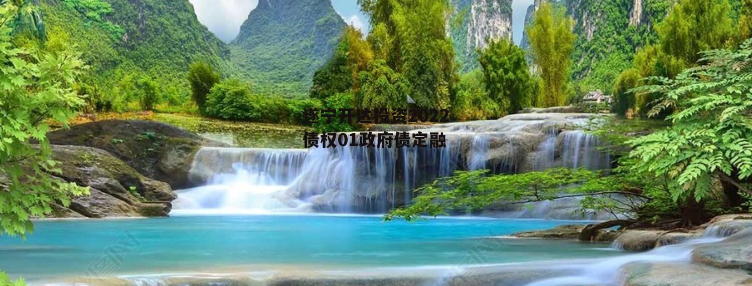 遂宁开达投资2022债权01政府债定融