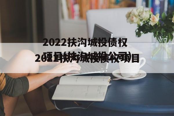 2022扶沟城投债权项目(扶沟城投公司)