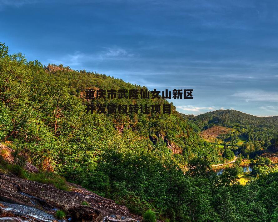 重庆市武隆仙女山新区开发债权转让项目