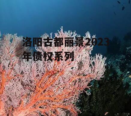 洛阳古都丽景2023年债权系列