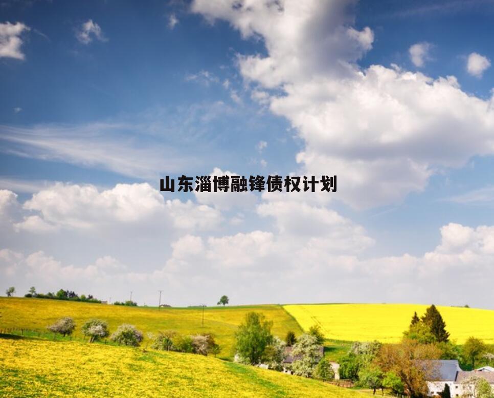 山东淄博融锋债权计划