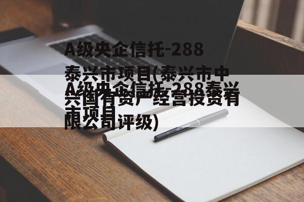 A级央企信托-288泰兴市项目(泰兴市中兴国有资产经营投资有限公司评级)