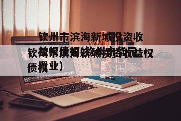钦州市滨海新城投资收益权债权(钦州市华元置业)