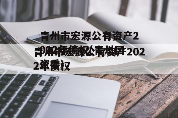 青州市宏源公有资产2022年债权(青州国资委)
