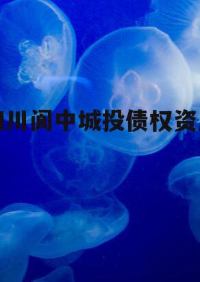 四川阆中城投债权资产