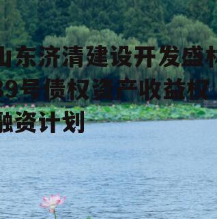 山东济清建设开发盛林89号债权资产收益权融资计划