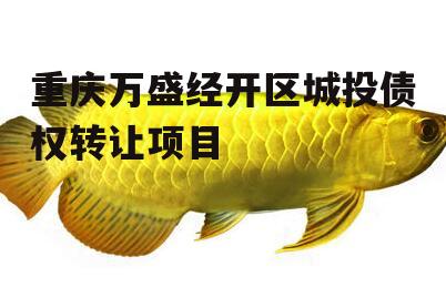 重庆万盛经开区城投债权转让项目